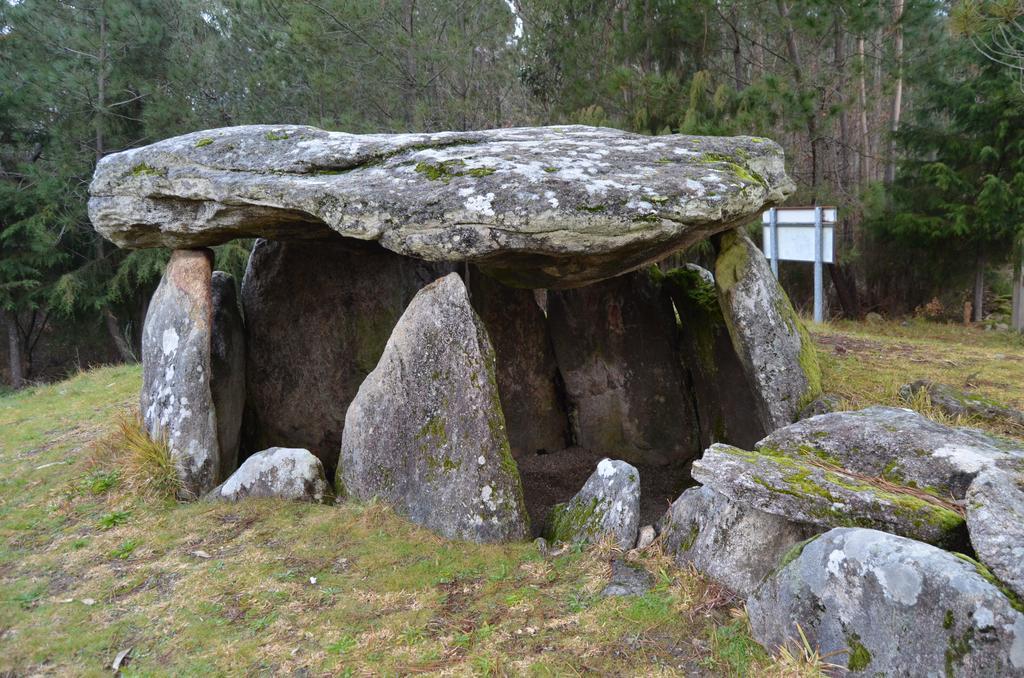 Villa De Paco Sever do Vouga Εξωτερικό φωτογραφία