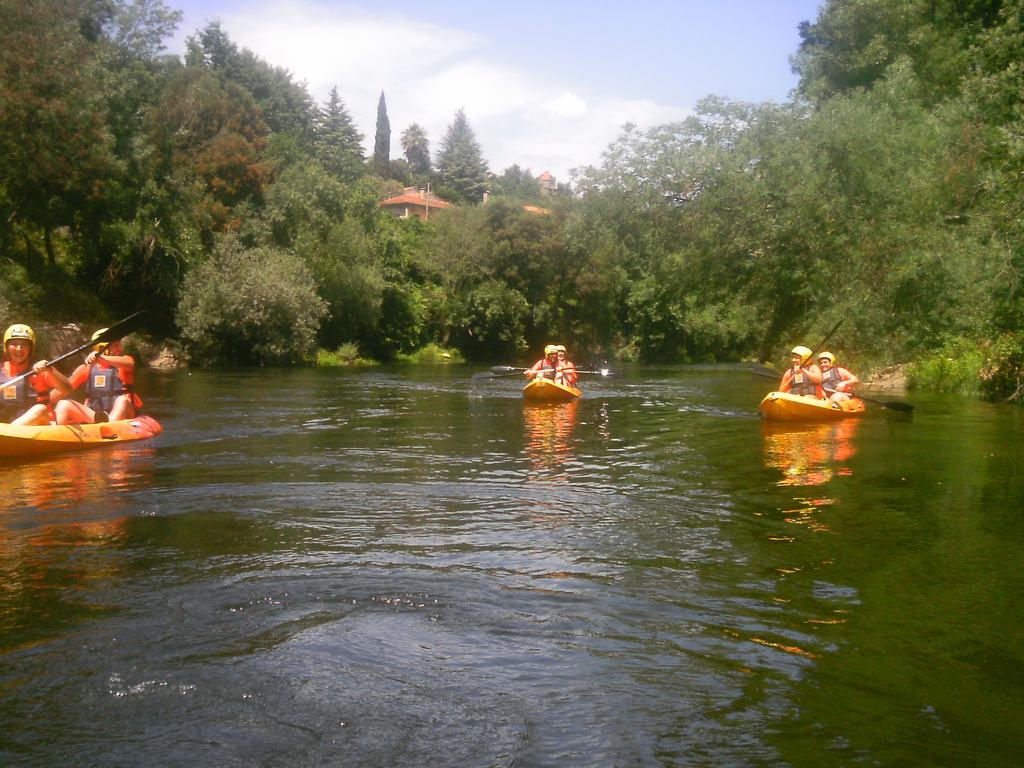 Villa De Paco Sever do Vouga Εξωτερικό φωτογραφία