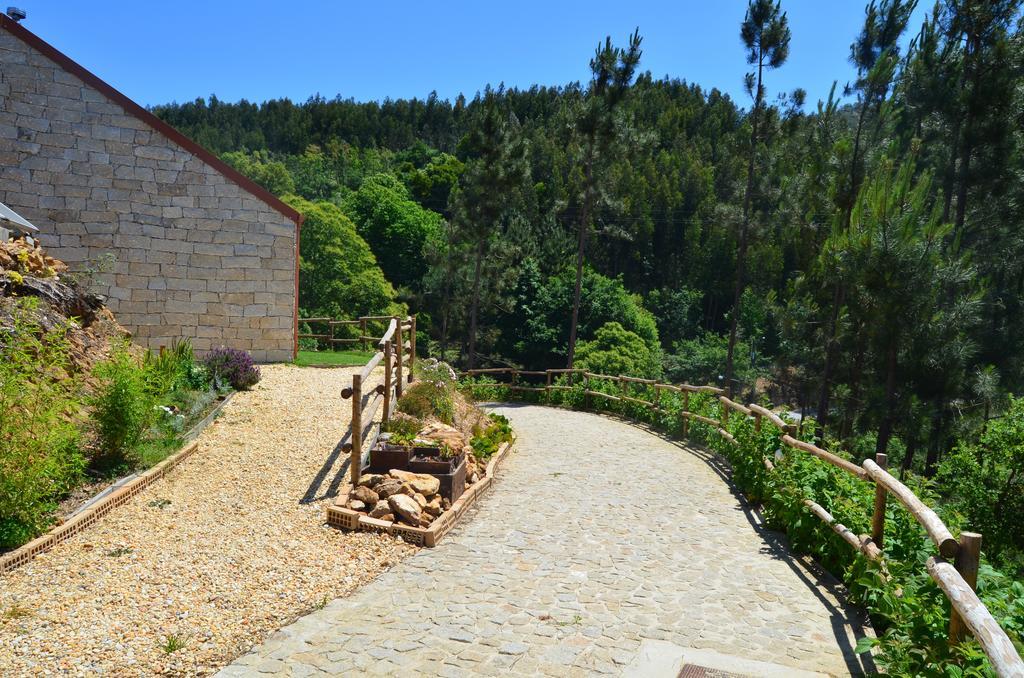 Villa De Paco Sever do Vouga Εξωτερικό φωτογραφία