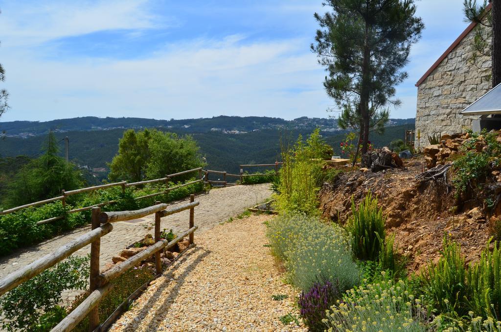 Villa De Paco Sever do Vouga Εξωτερικό φωτογραφία