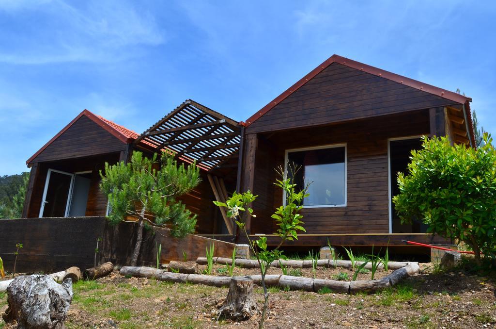 Villa De Paco Sever do Vouga Εξωτερικό φωτογραφία
