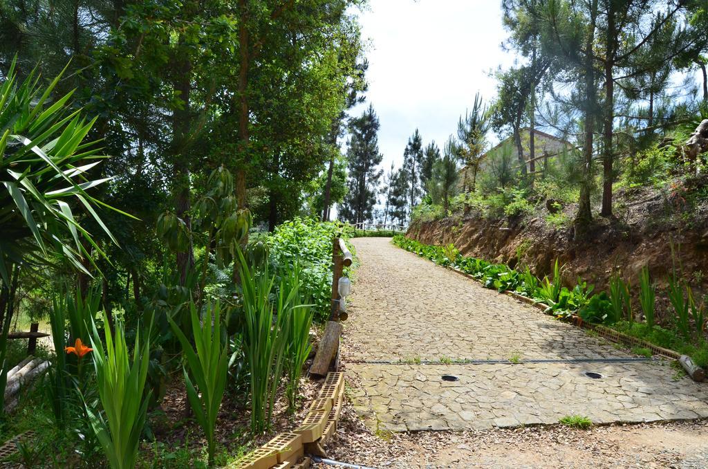 Villa De Paco Sever do Vouga Εξωτερικό φωτογραφία