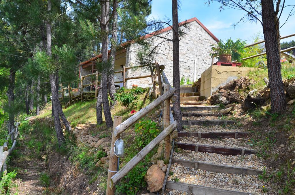 Villa De Paco Sever do Vouga Εξωτερικό φωτογραφία