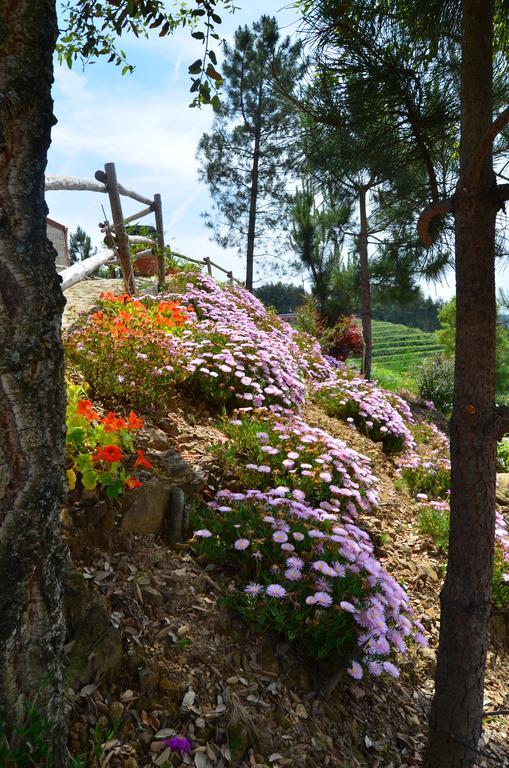 Villa De Paco Sever do Vouga Εξωτερικό φωτογραφία