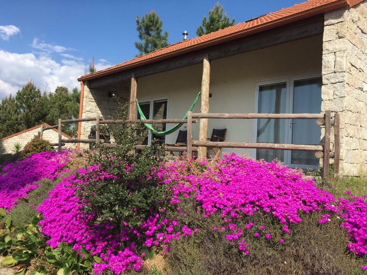 Villa De Paco Sever do Vouga Εξωτερικό φωτογραφία