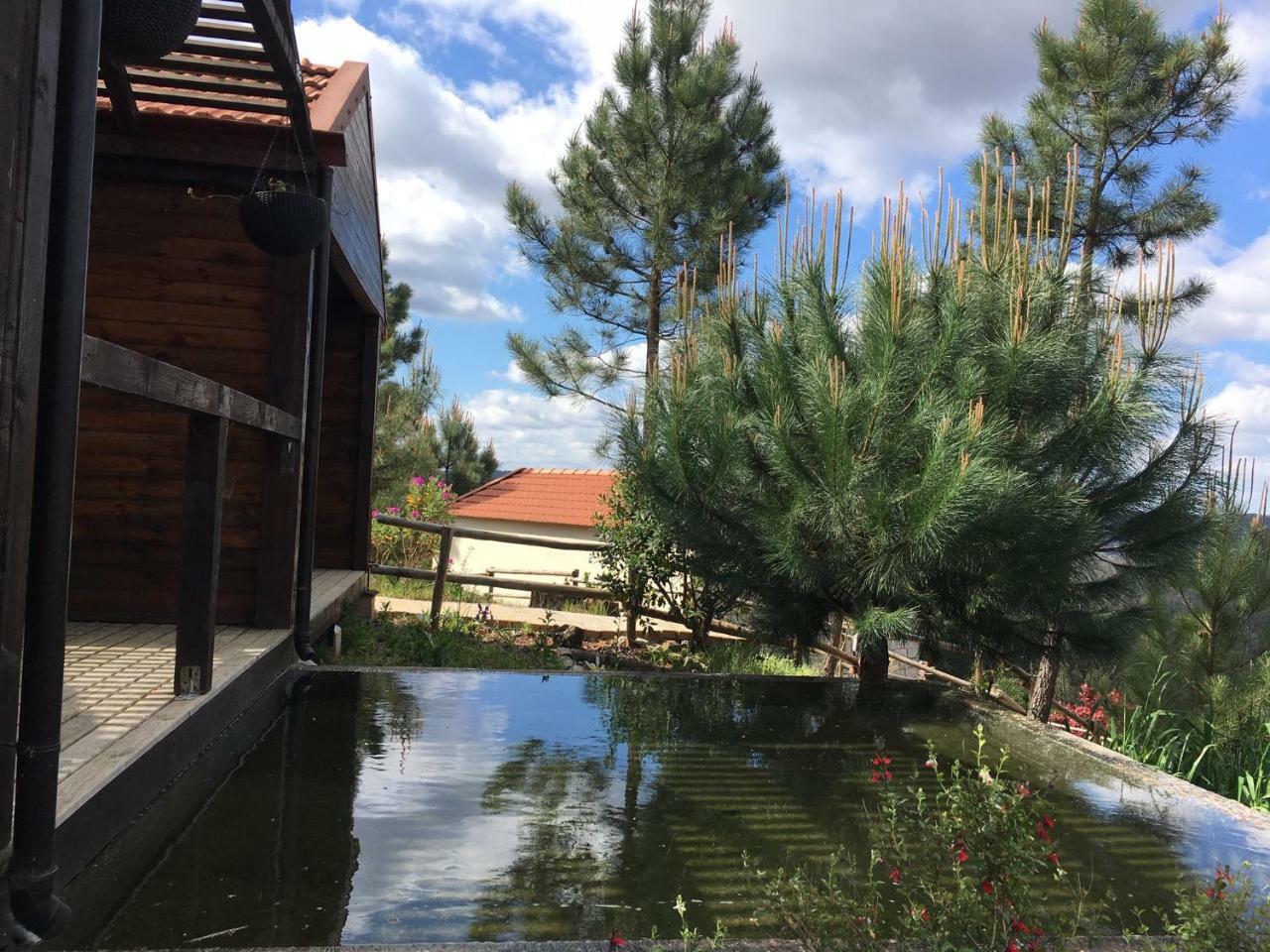 Villa De Paco Sever do Vouga Εξωτερικό φωτογραφία